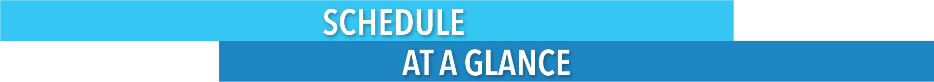 Schedule at a Glance
