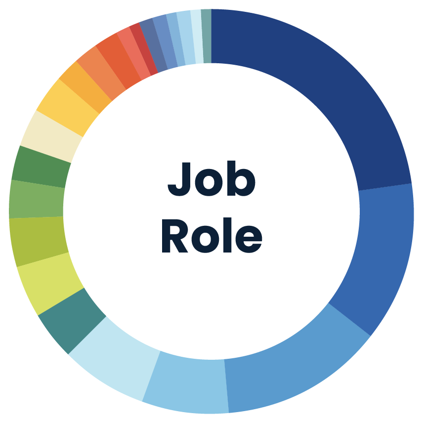 Primary Job Role infographic